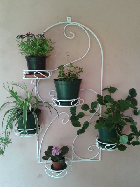 Multi Tier Wall Pot Stand